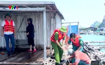 Vân Đồn khẩn trương ứng phó bão số 9, toàn bộ tàu thuyền đã vào nơi tránh trú an toàn