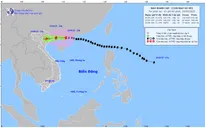 Dự báo ngày 25/9, bão sẽ ở vùng biển tỉnh Quảng Ninh và suy yếu dần