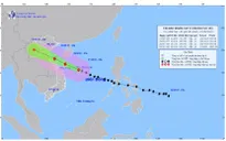 Cục Hàng hải và Đường thủy thành lập 4 đoàn công tác từ Quảng Ninh đến Quảng Ngãi ứng phó bão số 10