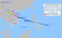 Hà Nội: Yêu cầu tập trung ứng phó bão số 10 và mưa lũ, sạt lở đất, lũ quét