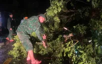 Quảng Trị: Nhiều cột điện, cây gãy đổ ngổn ngang khi bão đổ bộ
