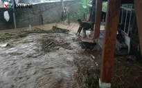 Dự báo thời tiết ngày 30/9: Bắc Bộ tiếp tục có mưa vừa, mưa to