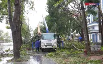 Thủ tướng chỉ đạo khẩn trương khắc phục hậu quả bão số 10, ưu tiên cứu nạn và hỗ trợ người dân