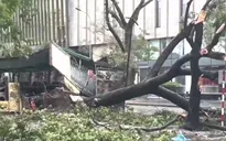 Một Bí thư Chi bộ ở Thanh Hóa tử vong khi đi chống bão
