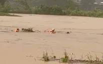 Phú Thọ: Công an xã kịp thời cứu sống người dân bị nước lũ cuốn trôi