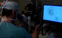 Đột phá tạo ra trứng người từ tế bào da