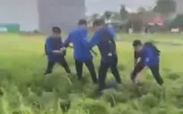 Làm rõ vụ việc nam sinh bị nhóm bạn đánh hội đồng ở Hải Phòng