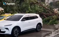 Mưa to gió lớn và cây đổ chắn đường khiến giao thông thủ đô Bangkok hỗn loạn