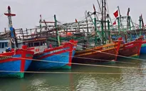 Ứng phó bão số 11: Hưng Yên cấm biển từ 17h ngày 4/10