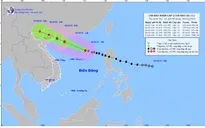 Bão số 11 giật cấp 15, cảnh báo sóng cao 8m, nước dâng ven biển Quảng Ninh – Hải Phòng