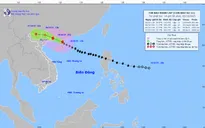 Bão số 11 cách Móng Cái (Quảng Ninh) khoảng 290 km