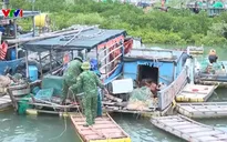 Quảng Ninh: Neo đậu tàu thuyền, chằng chống nhà cửa trước bão số 11