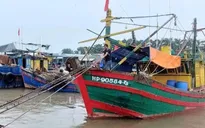 Hải Phòng triển khai giải pháp bảo vệ an toàn cho người dân, du khách trước bão số 11