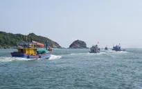 Tìm kiếm ngư dân mất tích và cứu nạn tàu cá bị tông chìm trên biển