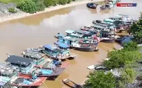 Quảng Ninh ngừng cấp phép cho tàu thuyền ra khơi để ứng phó bão số 11