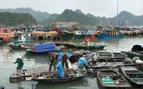 Hải Phòng dỡ bỏ lệnh cấm biển sau bão số 11