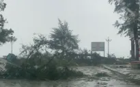 Thực hư tin có bão số 12 Hạ Long ngay sau bão số 11 Matmo