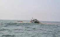 Đã tìm thấy thi thể thuyền trưởng trong vụ tàu cá bị tông chìm trên biển 