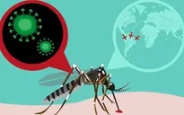 Arbovirus lây truyền từ muỗi bùng phát tại Cuba