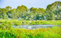 Đồng Tháp đặt mục tiêu đón 50 triệu khách du lịch vào năm 2030