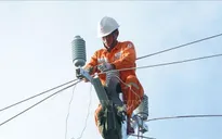 Điện lực miền Bắc cấp điện trở lại cho khoảng 66,9% khách hàng bị ảnh hưởng sau bão số 11