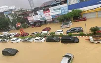 Bảo hiểm ước bồi thường 1.674 tỷ cho khách hàng bị thiệt hại do bão số 10 và 11