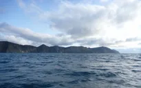 Đại dương ở New Zealand ấm lên nhanh hơn 34% so với toàn cầu