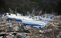 Phát hiện hài cốt bé gái mất tích trong thảm họa sóng thần năm 2011 tại Nhật Bản