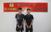 Bắt 2 đối tượng gây ra hàng loạt vụ cướp giật tại Hải Phòng