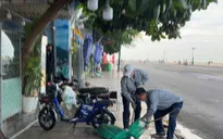 TP Hồ Chí Minh: Phường Vũng Tàu ra quân bắt chó thả rông