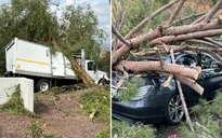 Bão mạnh khiến hàng trăm người phải di dời ở bang Arizona (Mỹ)