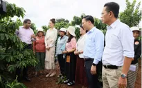 Hương cà phê và câu chuyện trao quyền cho nữ nông gia Việt