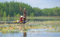 An Giang mùa nước nổi