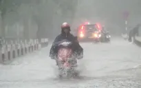 Đông Bắc Bộ mưa to đến rất to, Quảng Ninh có nơi trên 500mm