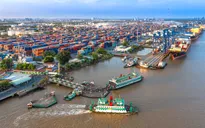 TP Hồ Chí Minh thành lập Ban Chỉ đạo phát triển xuất nhập khẩu