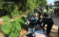 5 tỉnh, thành phố Trung Bộ và Tây Nguyên đảm bảo an toàn đê điều, ứng phó bão, mưa lũ