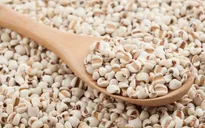 Thu hồi lô dược liệu ý dĩ không đạt tiêu chuẩn chất lượng