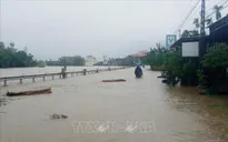 Quảng Ngãi cảnh báo lũ trên các sông lên cao do mưa lớn