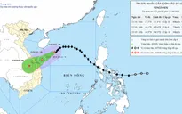 Bão số 12 cách TP Đà Nẵng khoảng 420 km, gió giật cấp 12