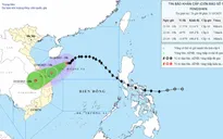 Bão số 12 di chuyển tốc độ 10 - 15 km/h, cách TP Đà Nẵng khoảng 390 km