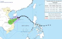 Bão số 12 cách TP Đà Nẵng khoảng 310 km, vùng gần tâm bão sóng biển cao 5-7m