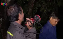 Bất cập chi trả chế độ bảo vệ rừng