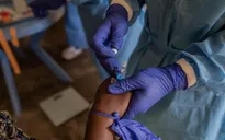 Hà Lan phát hiện biến thể đậu mùa khỉ dễ lây lan hơn