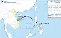 Hoãn các cuộc họp không cấp bách, chưa thật cần thiết để tập trung ứng phó với bão số 12