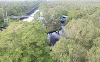 Du lịch miền Tây: Trải nghiệm đa dạng giữa sông nước và lễ hội dân gian