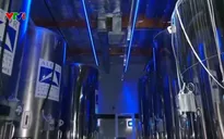 Những tỷ phú thung lũng Silicon và giấc mơ trường thọ