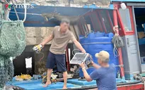 Quảng Ninh: Khởi tố vụ án 13 tàu cá tháo thiết bị giám sát hành trình