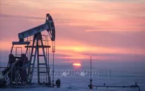 Các tập đoàn Trung Quốc tạm ngừng mua dầu Nga sau lệnh trừng phạt của Mỹ