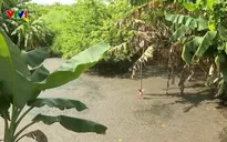 Đồng Nai: Người dân khổ sở vì cơ sở chăn nuôi xả thải, gây ô nhiễm, bốc mùi hôi nồng nặc