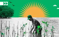 Gần 900 triệu người nghèo phải đối mặt với tác động khắc nghiệt của biến đổi khí hậu